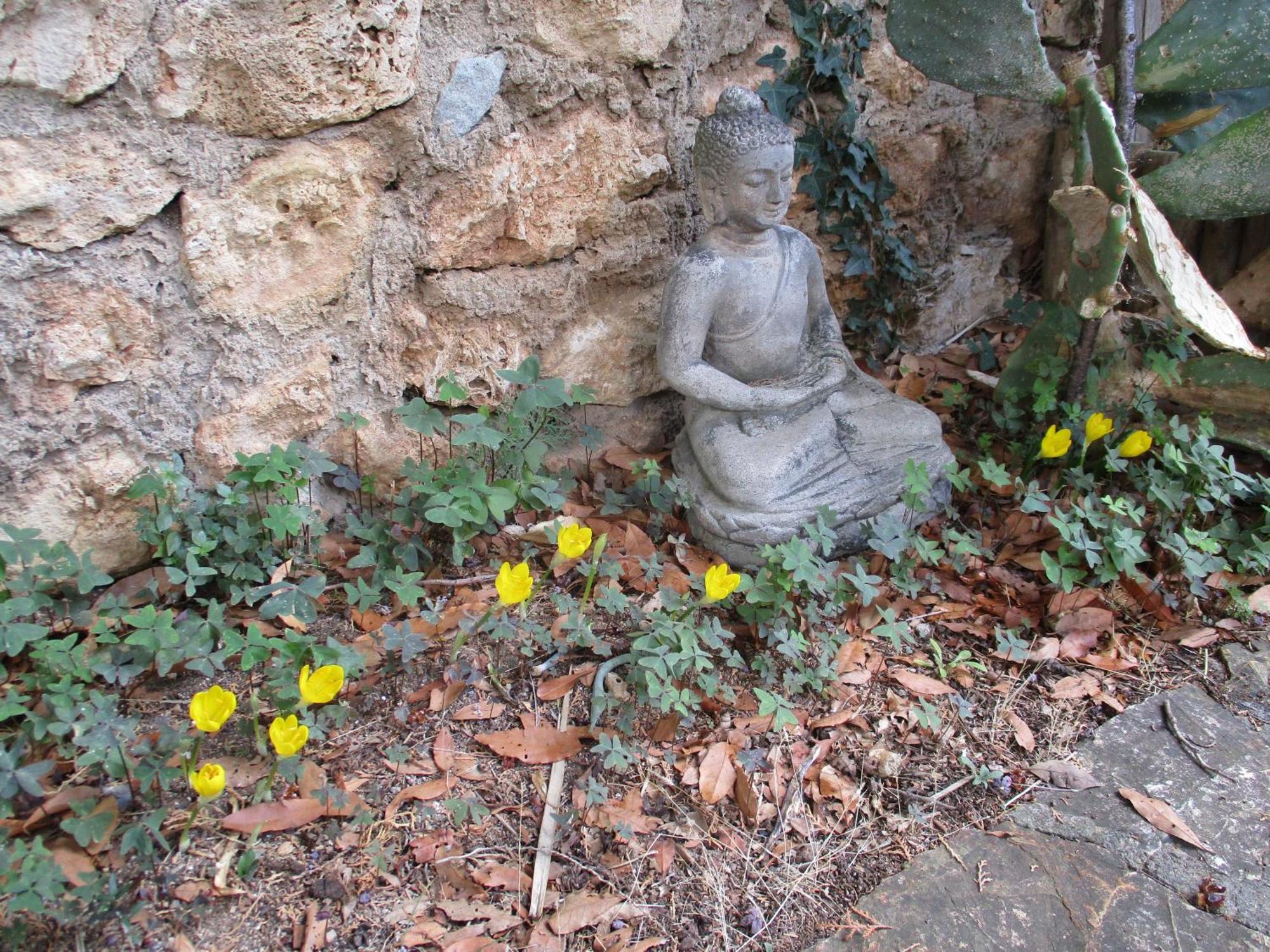 מאסה מריטימה Casa Alle Coste Camere In Affitto מראה חיצוני תמונה